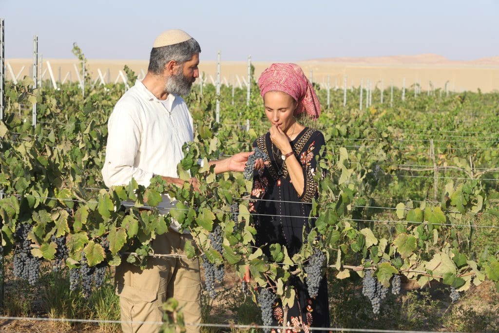 Gal and Roni Tushia in their vineyard at Be’er Milka in the Negev